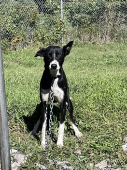 G C Jg Jym CRC2 I8yyk2 P1 Guw