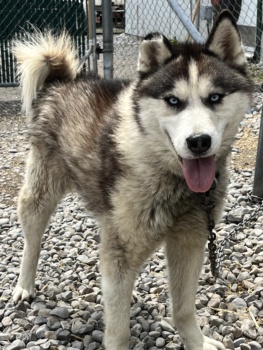 Tv Xuq EOQS7e5 Kh17aj V Cg