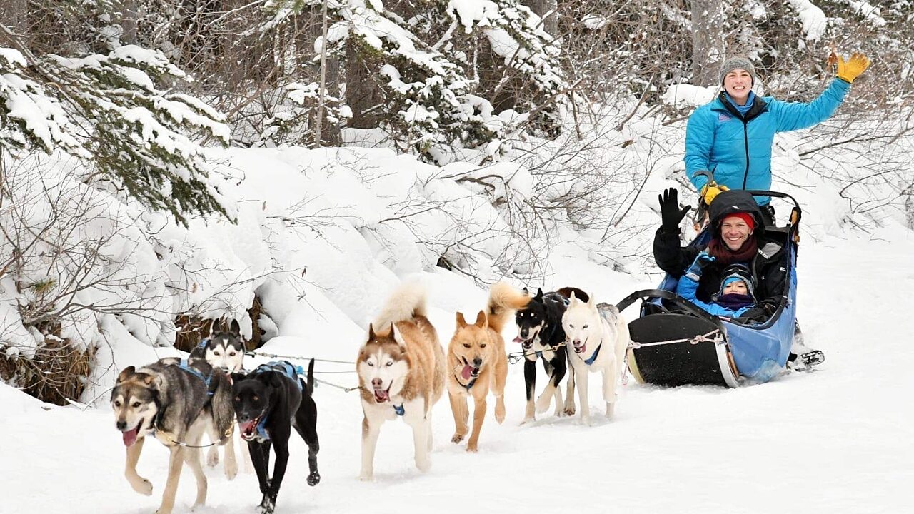 Howling Dog Tours