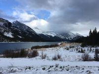 Trail Conditions