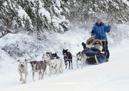 howling dog tours whistler inc