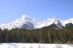 Best Snow For 30 Years At Spray Lakes Canmore Alberta