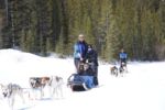 Howling Dog Tours At Spray Lakes Canmore Alberta April2011