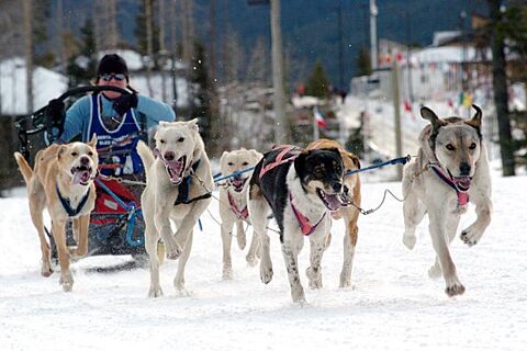 Race Photo
