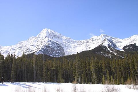 Best Snow For 30 Years At Spray Lakes Canmore Alberta