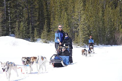 Howling Dog Tours At Spray Lakes Canmore Alberta April2011