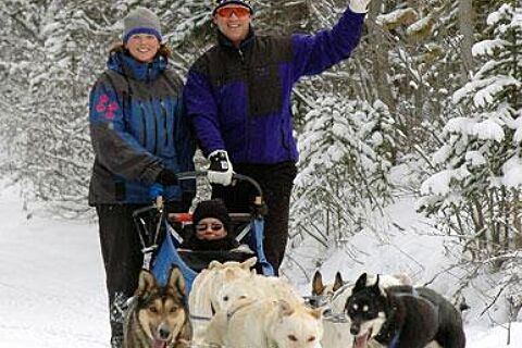 Howling Dog Tours Sleddog Tours In The Canadian Rockies 10