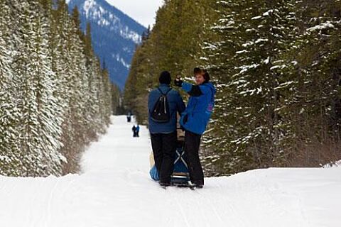 Howling Dog Tours Sleddog Tours In The Canadian Rockies 11