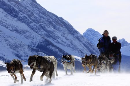 Dog Sledding in Alaska