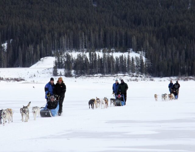 Dog Sledding Tour Photos: Dog Day Afternoon (January through March) - Closed for the season