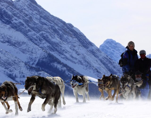 Dog Sledding Tour Photos: Dog Day Afternoon (January through March) - Closed for the season