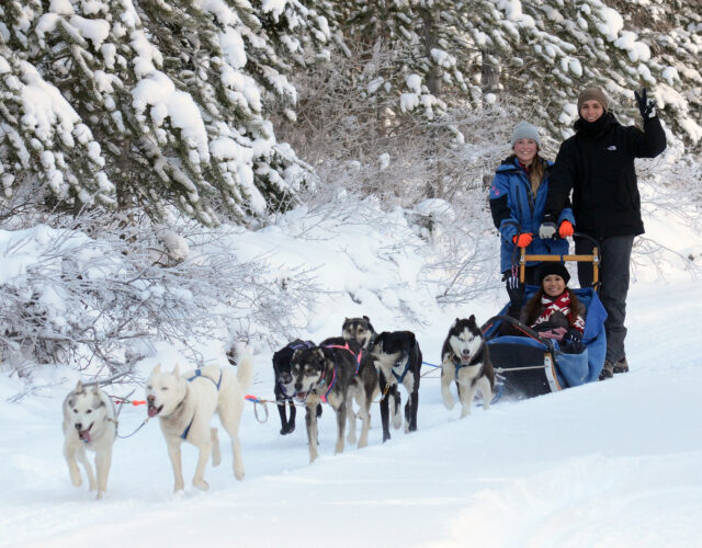 Dog Sledding Tour Photos: Unleash the Musher - Closed for the season
