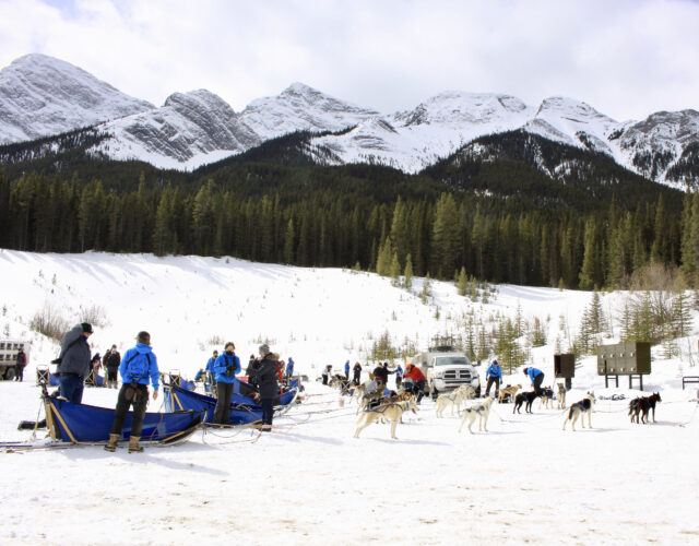 Dog Sledding Tour Photos: Unleash the Musher - Closed for the season