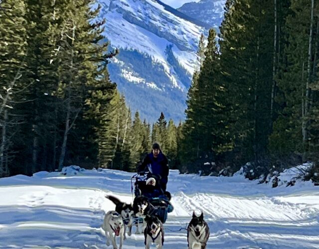 Dog Sledding Tour Photos: Unleash the Musher - Closed for the season
