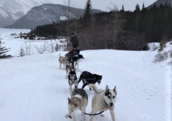 Trail Conditions - December 3, 2019