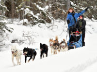 Trail Conditions