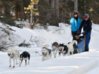 Trail Conditions