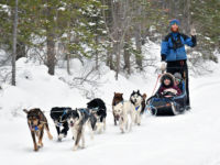 Trail Conditions