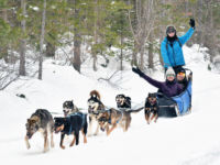 Trail Conditions