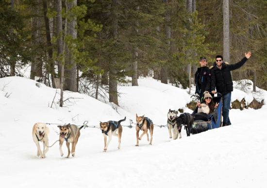Trail Conditions - February 4, 2026